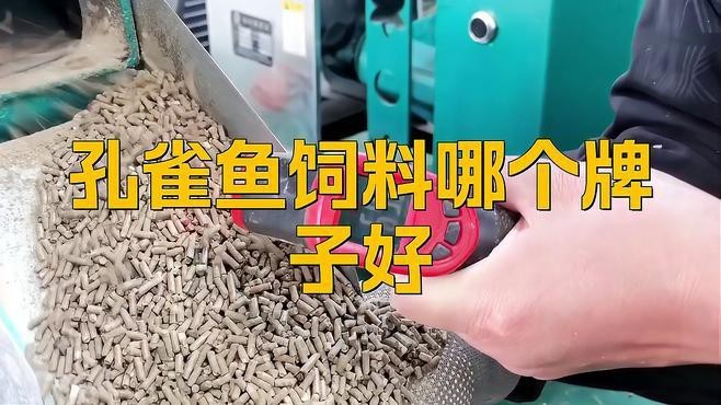 孔雀魚糧最好三個品牌【孔雀魚糧哪個牌子好】