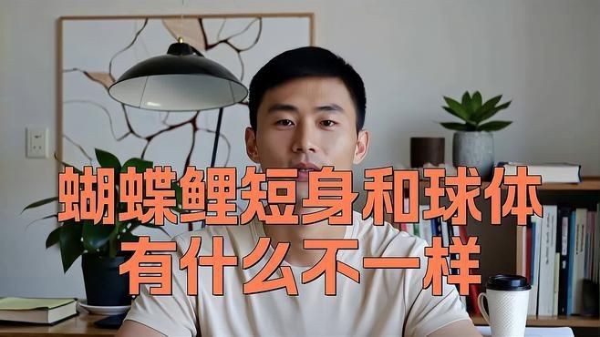 蝴蝶鯉買白普還是球體【騰訊視頻官方白普蝴蝶鯉怎么辨認(rèn)蝴蝶鯉好還是白背好】
