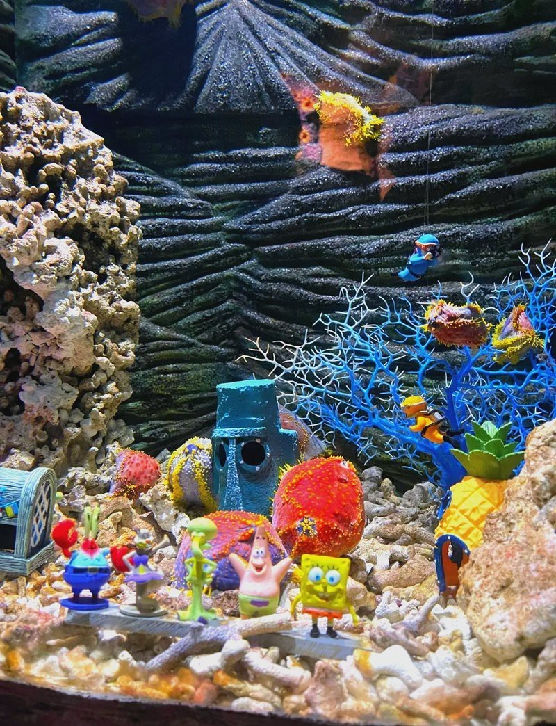 鏡湖水族店【紹興第一個水族館落戶鏡湖濕地海洋世界有哪些特色表演】