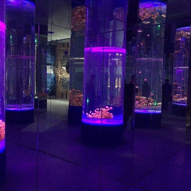 鏡湖水族店【紹興第一個水族館落戶鏡湖濕地海洋世界有哪些特色表演】