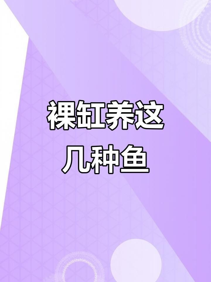 裸缸最好的魚第一名【裸缸最好的魚第一名糖心繪事】