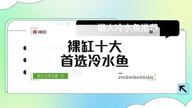 裸缸最好的魚第一名【裸缸最好的魚第一名糖心繪事】 裸缸最好的魚第一名【裸缸最好的魚第一名糖心繪事】 龍魚百科 第4張
