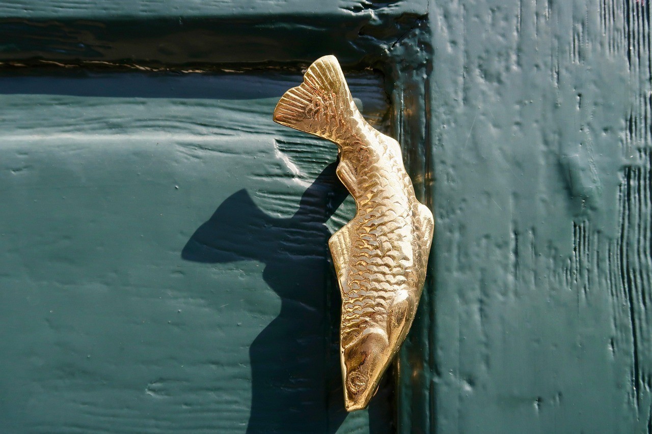 龍魚和什么魚混養(yǎng)最好【七彩神仙魚和七彩神仙魚的混養(yǎng)需要注意什么魚混養(yǎng)】