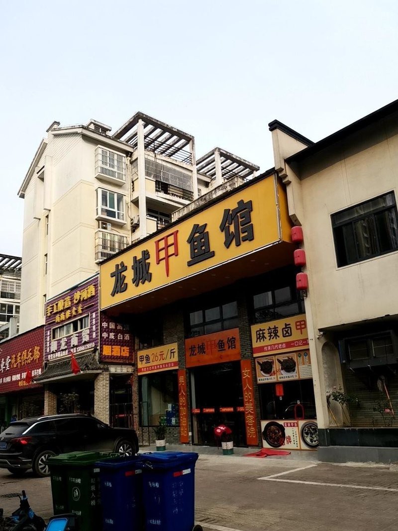 肥東龍魚店【江南漁村肥東龍魚店】
