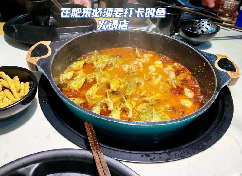 肥東龍魚店【江南漁村肥東龍魚店】