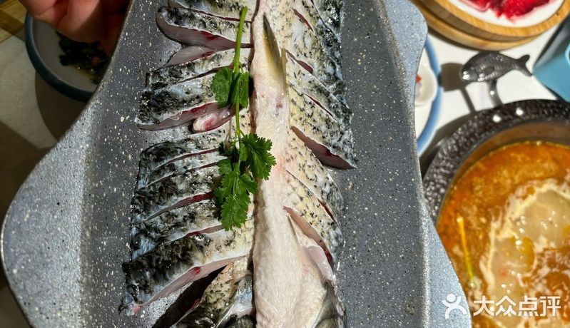 迭部龍魚店【如何鑒別迭部龍魚的品相】
