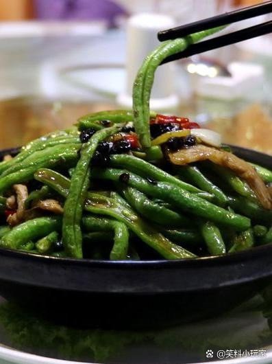 隴西龍魚店【聚龍灣龍魚有哪些品種】