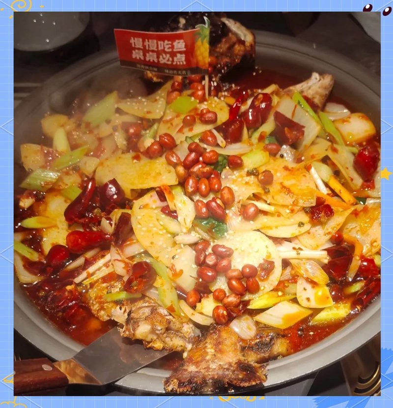 綿陽龍魚店【綿陽有哪些龍魚店】