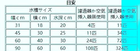 10040魚缸適合魚【10040魚缸適合養什么魚】