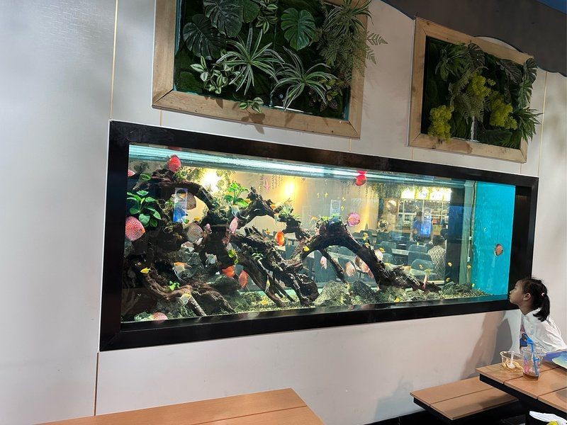 甘南州魚(yú)缸店【甘南州魚(yú)缸店在當(dāng)?shù)貙櫸锛八迨袌?chǎng)中占據(jù)一定的地位】