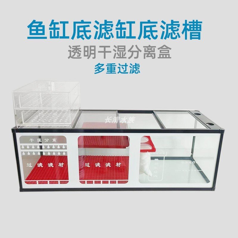 長(zhǎng)清水族店【《長(zhǎng)清水族店：水族世界的奇妙角落》】