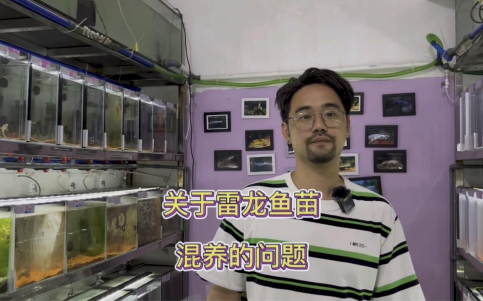 雷龍混養最佳搭配【墨韻幽潭閣,雷龍魚能混養嗎】