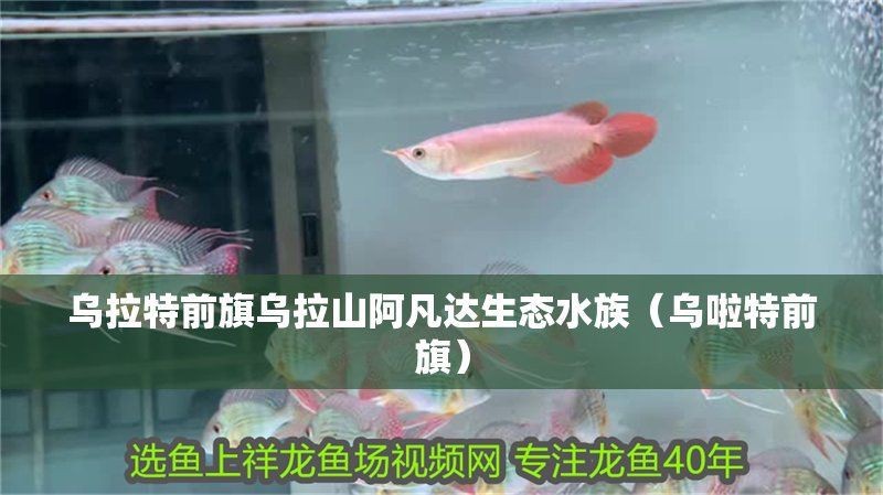 巴彥淖爾水族館【巴彥淖爾市水族館】