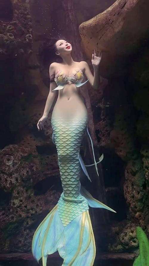 美人魚的私人部位圖片【關(guān)于美人魚的解剖結(jié)構(gòu)】