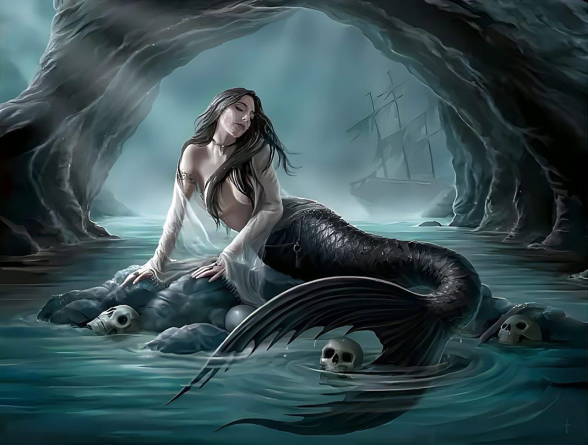 美人魚的私人部位圖片【關(guān)于美人魚的解剖結(jié)構(gòu)】