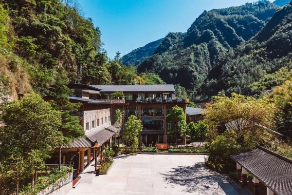 峨邊水族店【峨邊水族店：水上精靈的奇妙世界】