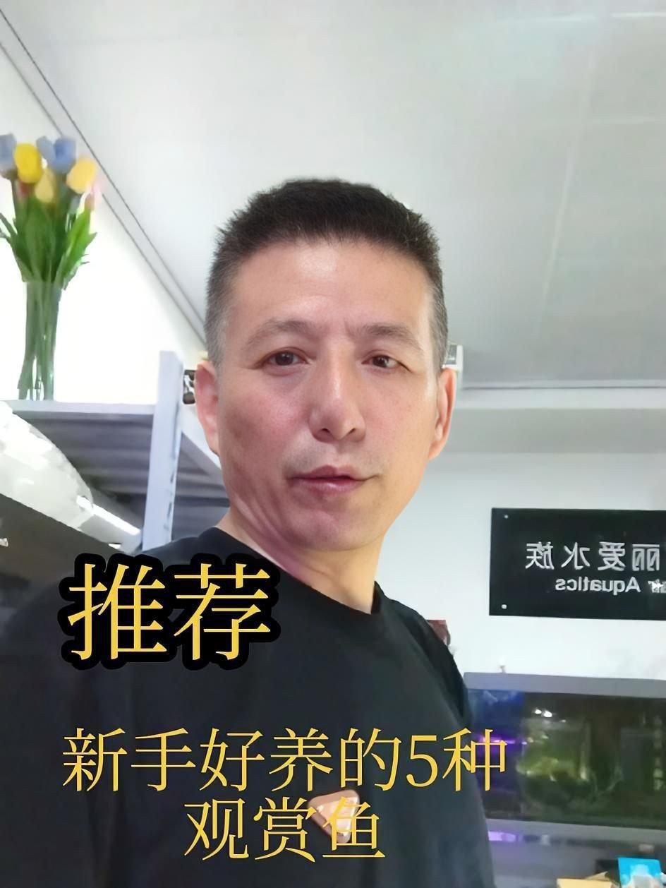 哪種魚最好養(yǎng)【十大最適合新手養(yǎng)的觀賞魚，皮實(shí)又美麗】