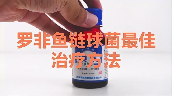 羅非魚鏈球菌最忌三種藥【綠色使者,蟲見愁丨羅非魚養殖中的“惡魔”——鏈球菌病】