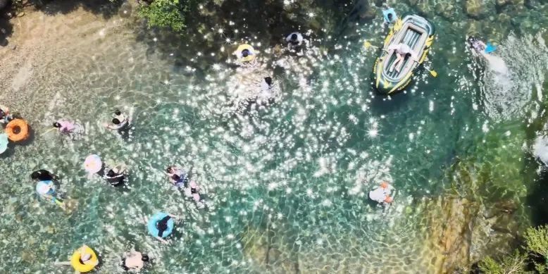 祁門水族店【安徽水景堂水族養(yǎng)護(hù)服務(wù)有限公司】