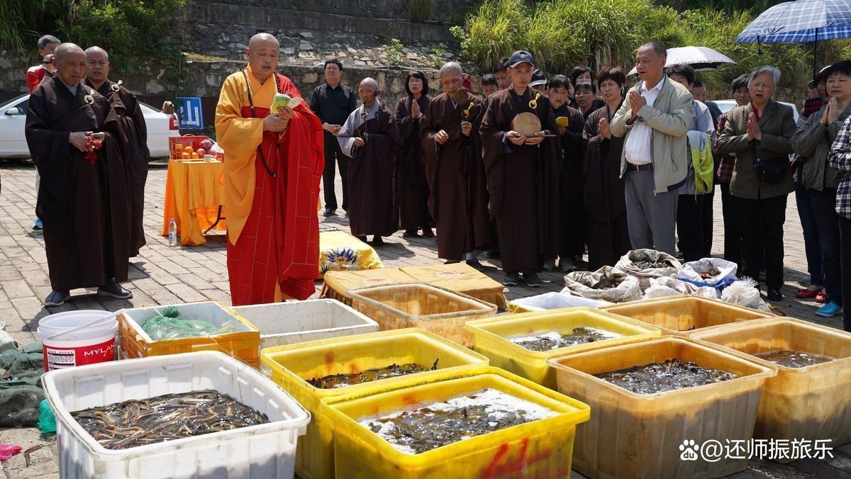 放生有三大忌諱時間【放生三大忌諱時間】