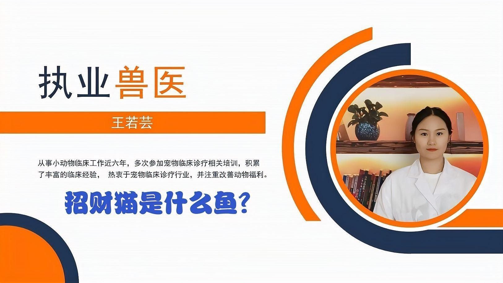 招財貓魚有哪些品種？【招財貓是什么魚】