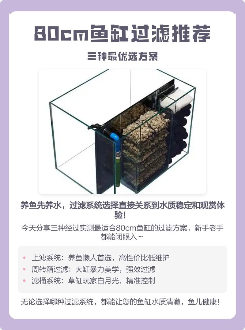 龍魚缸寬80cm最簡單處理方法【《龍魚缸寬80cm最簡單處理方法》*】