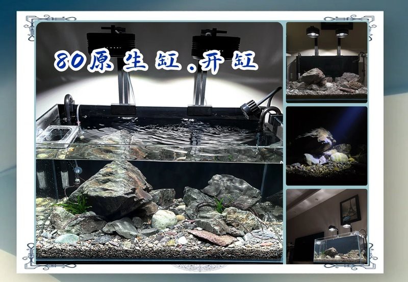 龍魚缸寬80cm最簡單處理方法【《龍魚缸寬80cm最簡單處理方法》*】