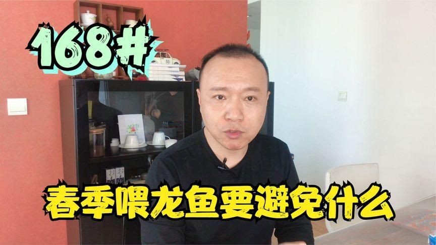 金龍魚最忌三種食物【金龍魚在飼養中有三種食物是較為忌諱的】