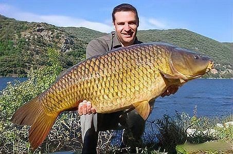 鯉魚是國家保護動物嗎【這5種野生鯉魚釣到一定要放生，每種都“很刑”小小漁樂圈】