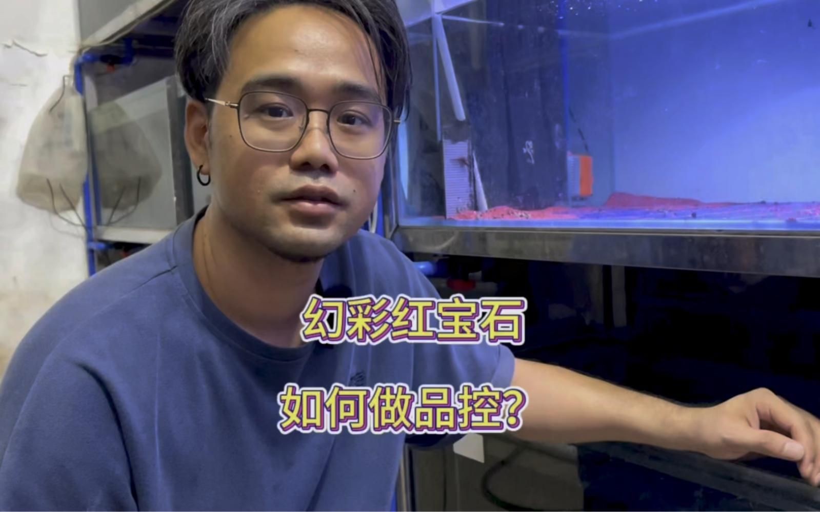 幻彩雷龍屬于什么檔次【幻彩雷龍魚屬于中高檔次的觀賞魚】