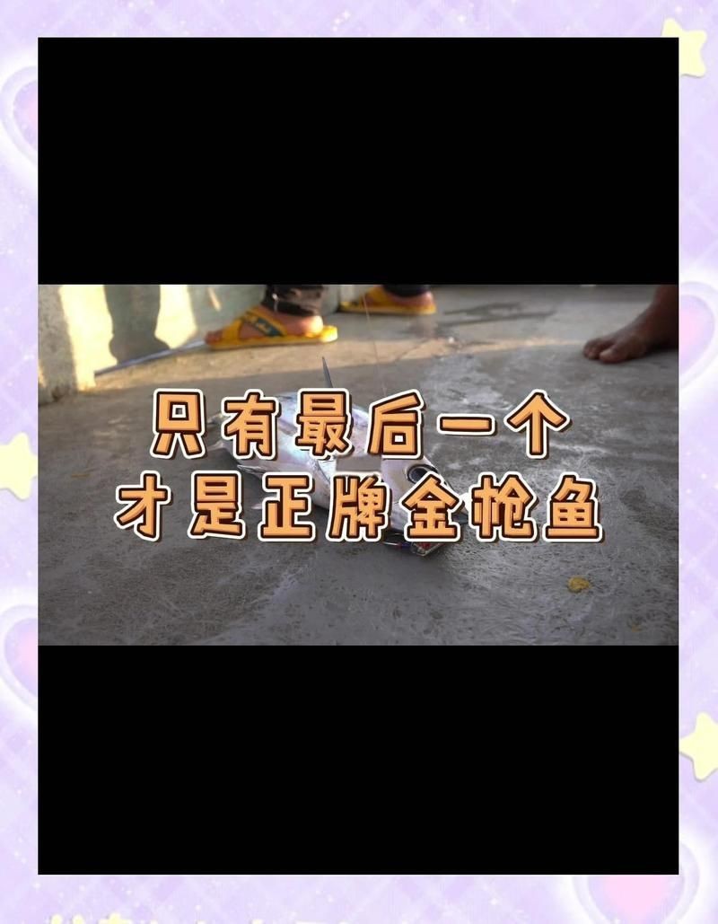 金槍魚10元一斤是真的嗎【關于“金槍魚10元一斤是真的嗎”金槍魚價格大揭秘】