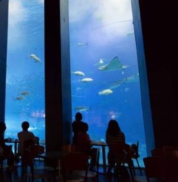 十大水族店加盟費明細【2025年十大水族店加盟費全景分析“歡樂水族”加盟費10萬元】