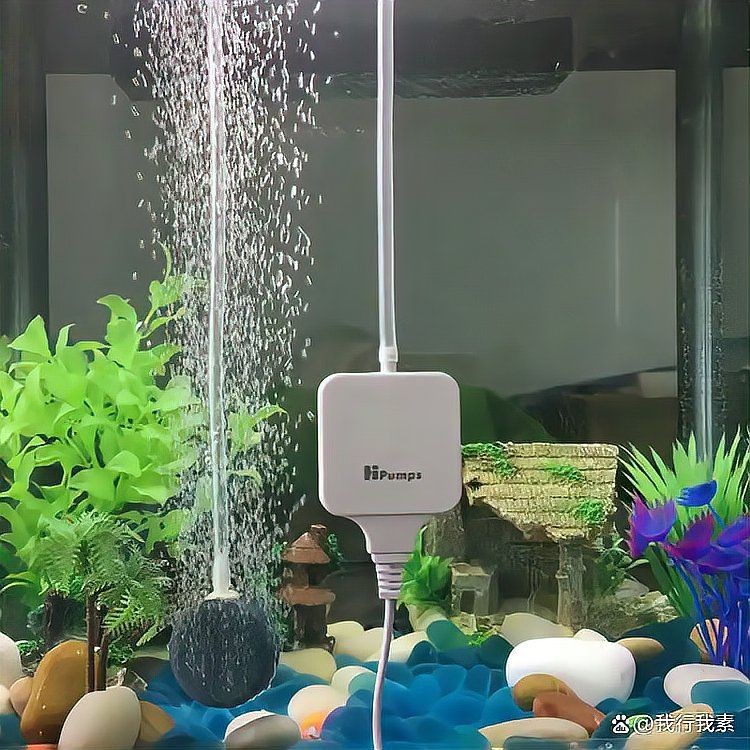 老魚匠氧氣泵不打氧【老漁匠氧氣泵不出氧氣怎么回事june愛分享】