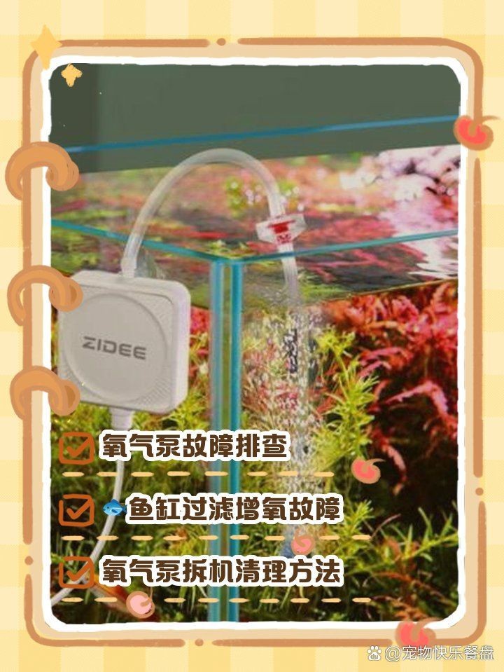 老魚匠氧氣泵不打氧【老漁匠氧氣泵不出氧氣怎么回事june愛分享】