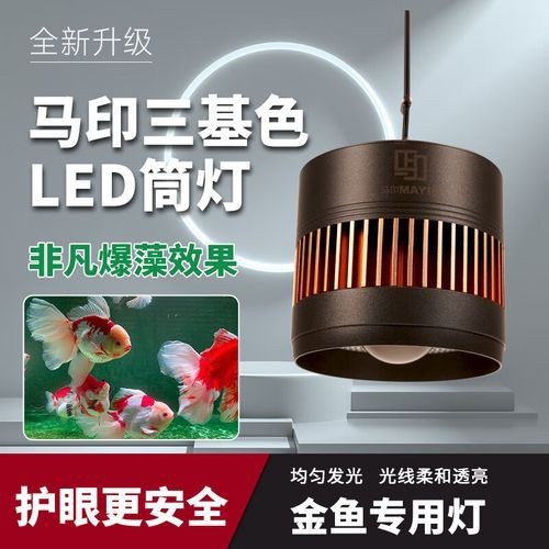 龍人最好的三個職業(yè)【《龍人最好的三個職業(yè)》】
