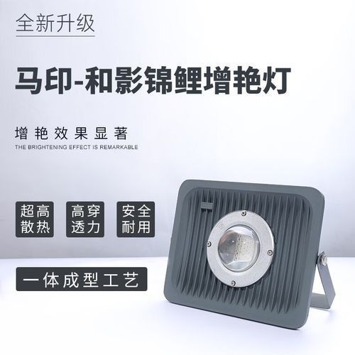 龍人最好的三個職業(yè)【《龍人最好的三個職業(yè)》】