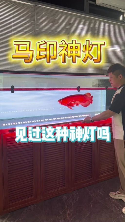 龍人最好的三個職業(yè)【《龍人最好的三個職業(yè)》】