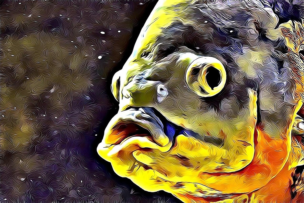 雷龍魚最貴的品種【金色眼鏡蛇雷龍魚】