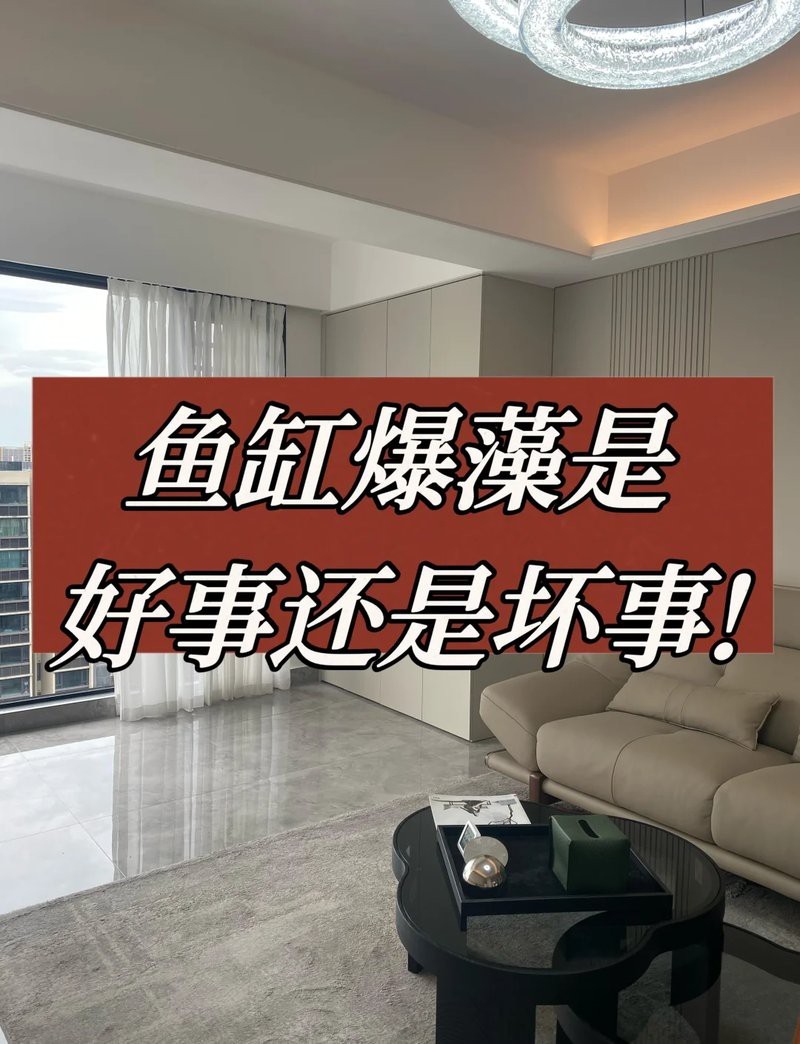 魚缸爆藻是好還是不好【萌寵趣探社，魚缸長藻都有什么利弊】