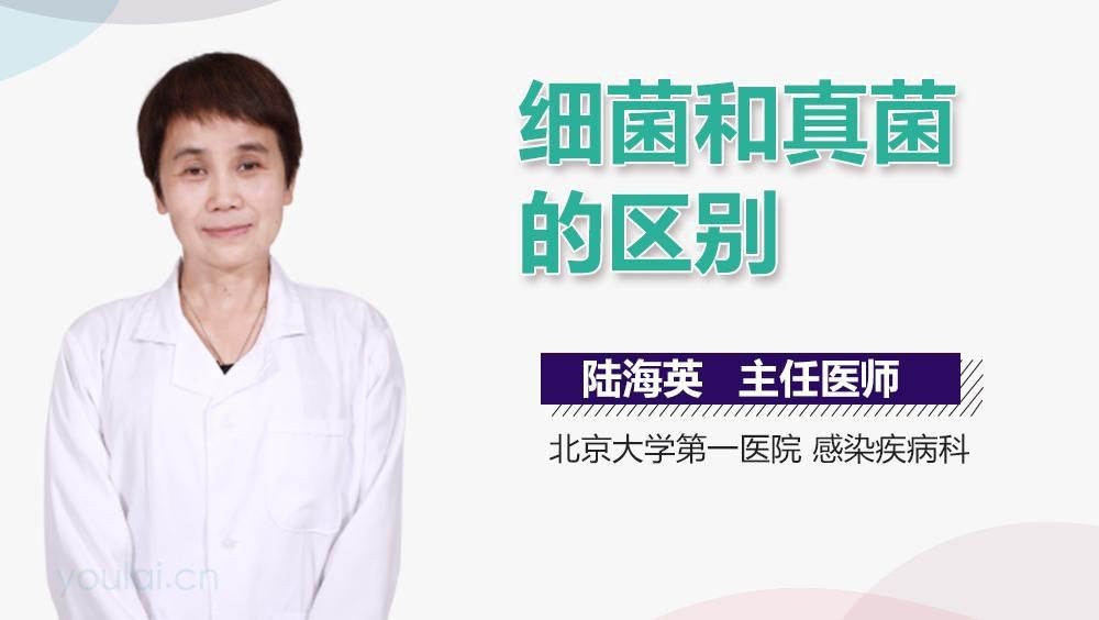 如何區(qū)分真菌和細(xì)菌感染？【劉雯敏副主任醫(yī)師三甲真菌感染和真菌感染的區(qū)別是什么】