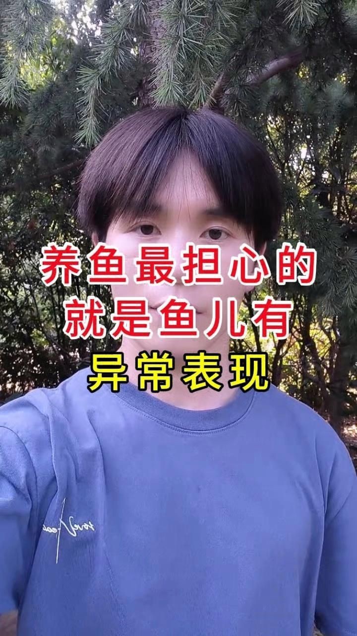 龍魚內寄和外寄的癥狀有哪些區別？【如何判斷龍魚有寄生蟲】