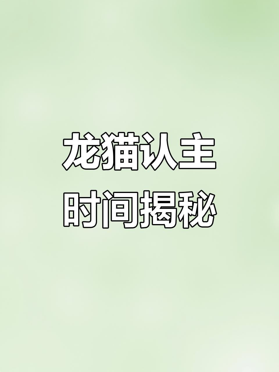 龍貓多久適應新主人？【如何讓龍貓從緊張到粘人三步搞定龍貓認主時間表】