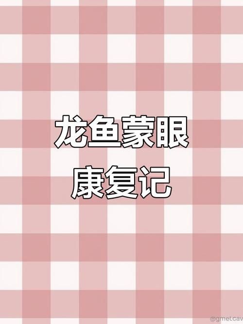龍魚蒙眼最好治療方法圖解【龍魚蒙眼是什么原因怎么治療】