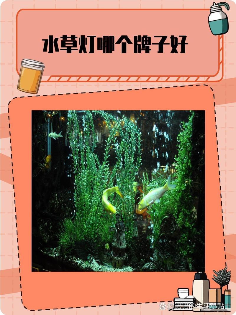 水草燈哪個牌子質量好【水草燈品牌質量深度評測與選購指南】