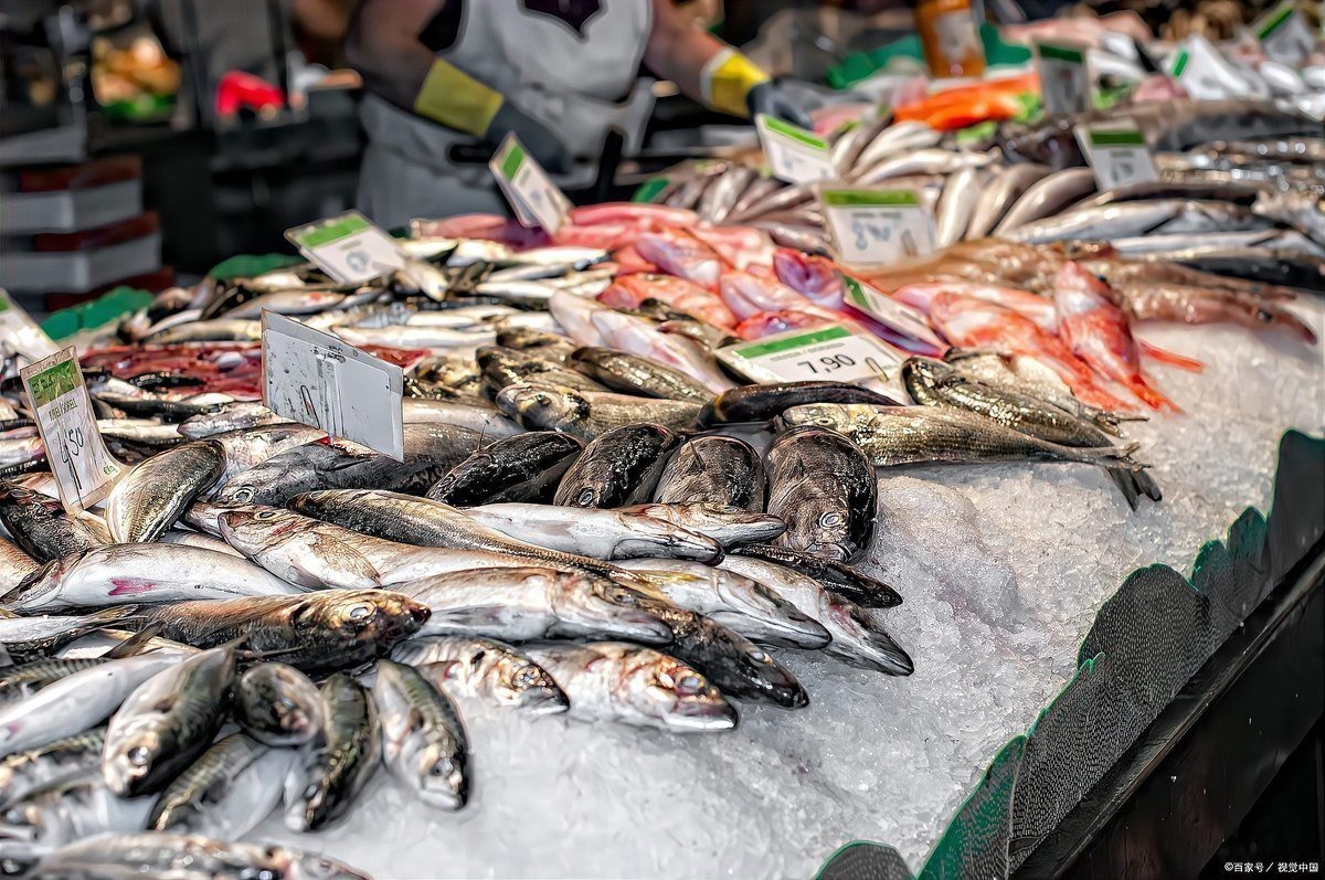 淡水魚十大名魚【中國十大淡水魚】