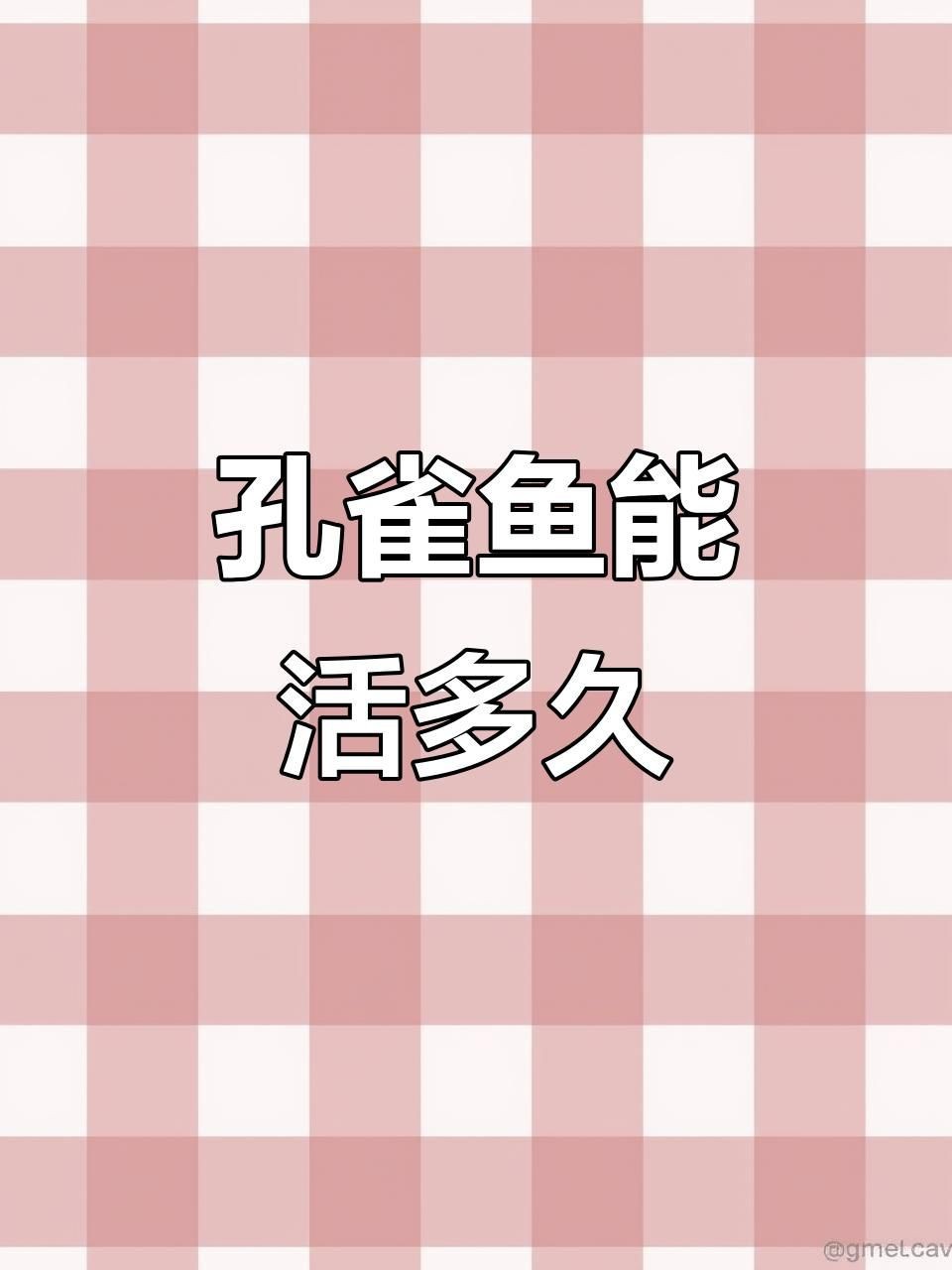 孔雀魚能活多久【孔雀魚的壽命一般在2-5年左右】
