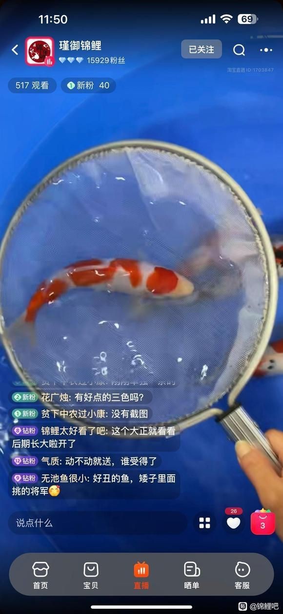 錦鯉吧百度貼吧【《錦鯉吧百度貼吧：獨特的網絡交流空間》】