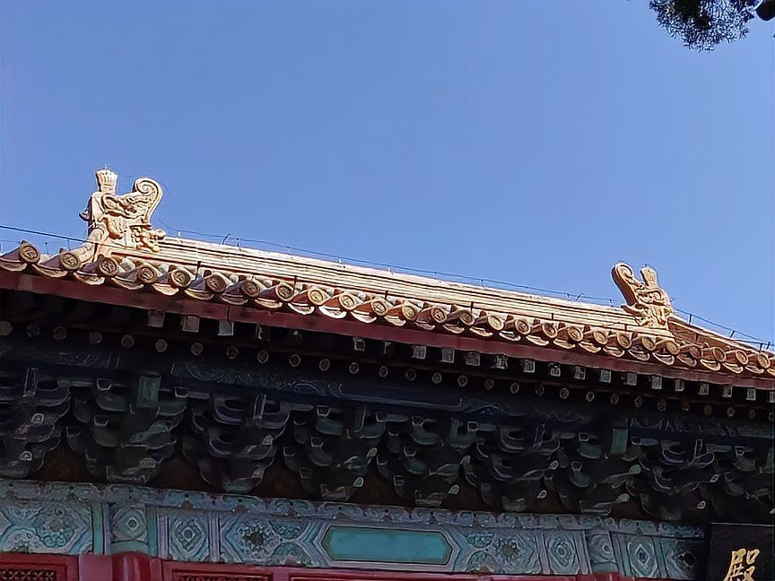 龍頭魚(yú)身神獸有哪些傳說(shuō)故事？【龍頭魚(yú)身神獸在中國(guó)神話中主要有螭吻和鰲魚(yú)兩類(lèi)】