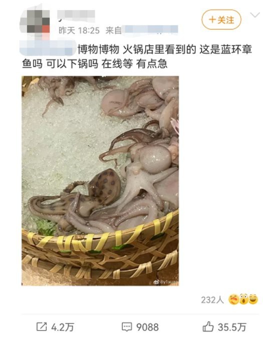 刀魚的毒性有多強【刀魚毒性如何區分？】