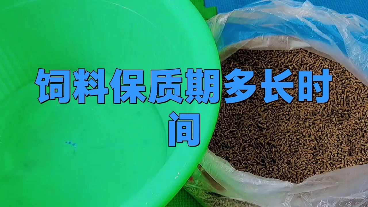 自制紅龍魚飼料能保存多久？【如何自制紅龍魚飼料？】